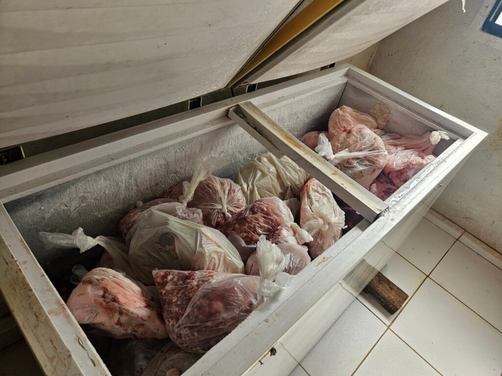 Agrodefesa interdita abatedouro clandestino de suínos em Goiás