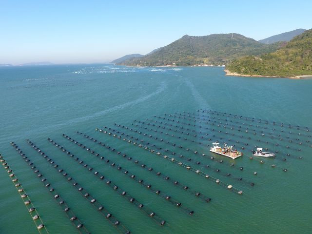 Reordenamento da maricultura legaliza a situação das famílias no litoral catarinense