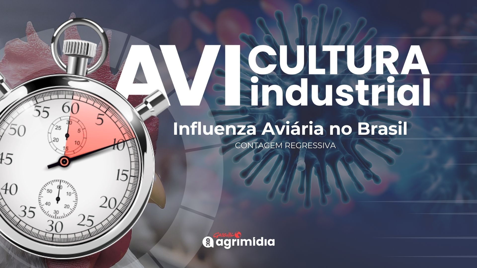 Prazo de 27 dias para Brasil retomar status de país livre da Influenza Aviária