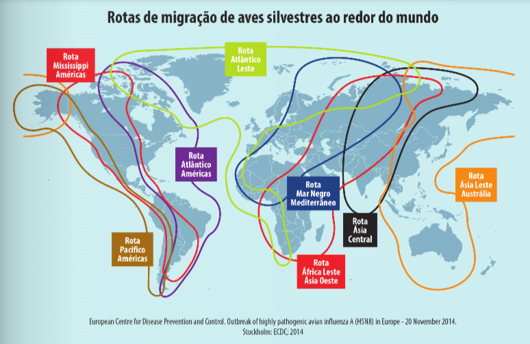 Influenza Aviária no Brasil: acompanhe os dados Influenza Aviária no Brasil: acompanhe os dados