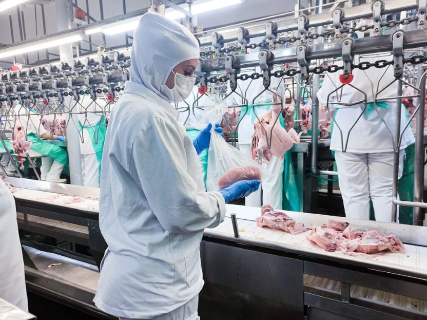 Anffa Sindical alerta para a necessidade de reforçar defesa agropecuária nacional devido à Influenza Aviária no Brasil