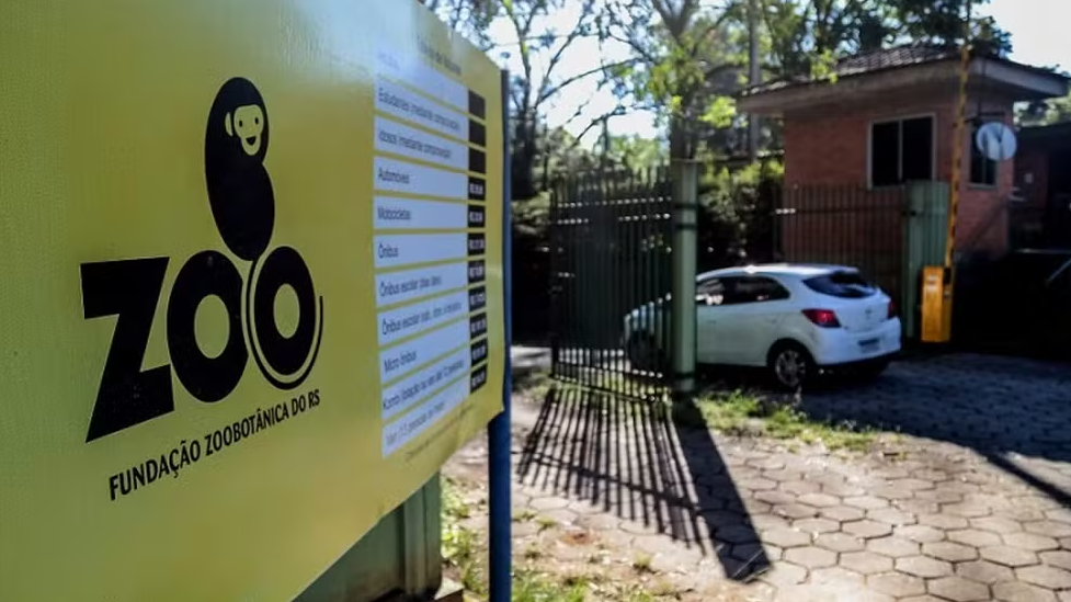 Estado do RS apresentará documentos sobre casos de Influenza Aviária no Zoológico dentro do prazo legal