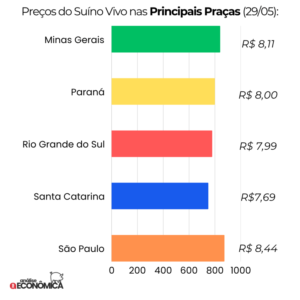 Análise econômica Suinocultura: preços do suíno vivo caem diante de demanda fraca e Influenza Aviária