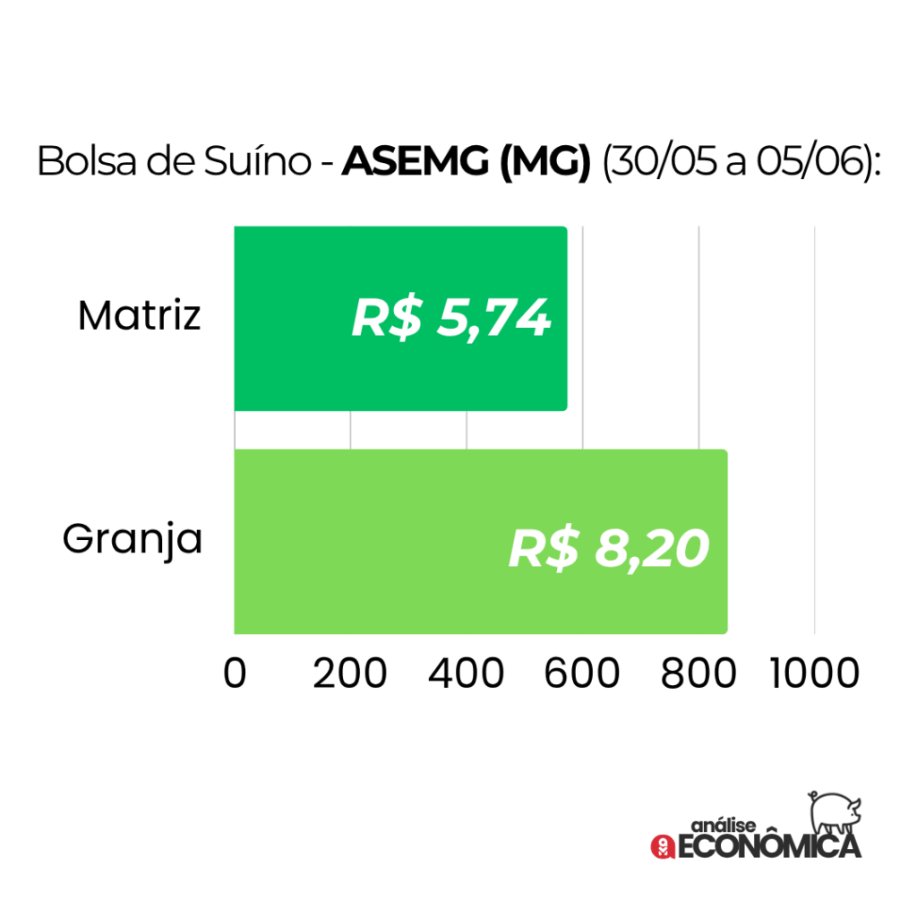 Análise econômica Suinocultura: preços do suíno vivo caem diante de demanda fraca e Influenza Aviária