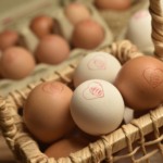 Mantiqueira, da JBS, entra no mercado americano com compra avaliada em US$ 300 milhões Mantiqueira, da JBS, entra no mercado americano com compra avaliada em US$ 300 milhões