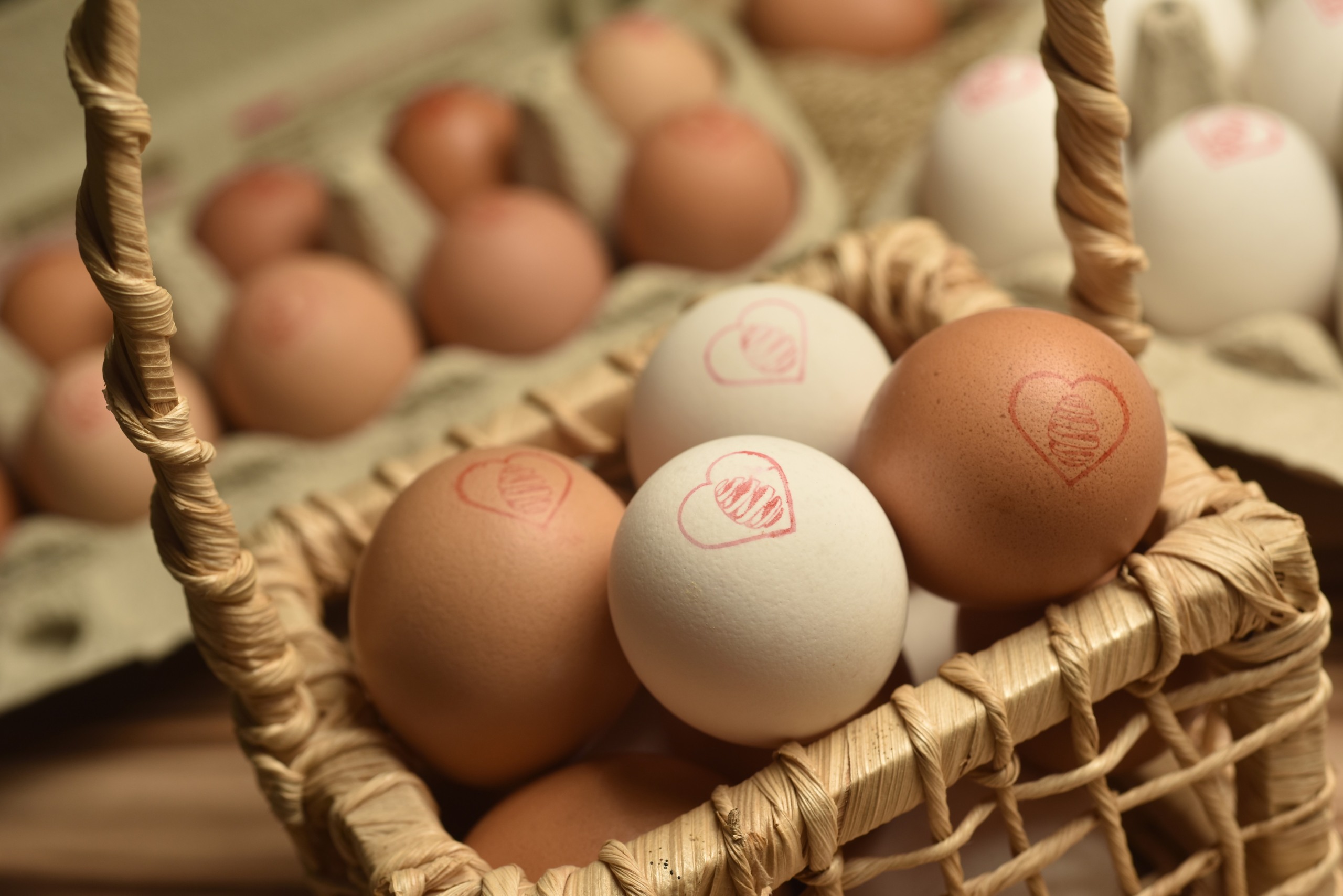 Ingestão diária recomendada de proteína: OMS destaca a importância do consumo adequado Ingestão diária recomendada de proteína: OMS destaca a importância do consumo adequado