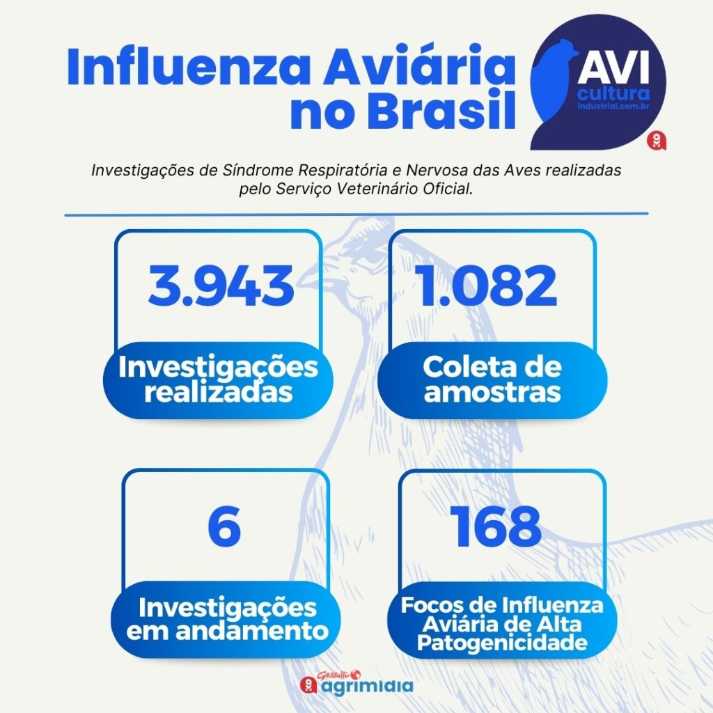 Santa Catarina investiga suspeita de Influenza Aviária em granja comercial e proíbe entrada de aves e ovos do Rio Grande do Sul