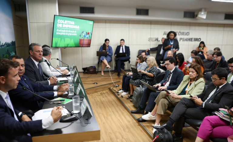 Combate à Influenza Aviária: Brasil reforça robustez e transparência do seu sistema sanitário