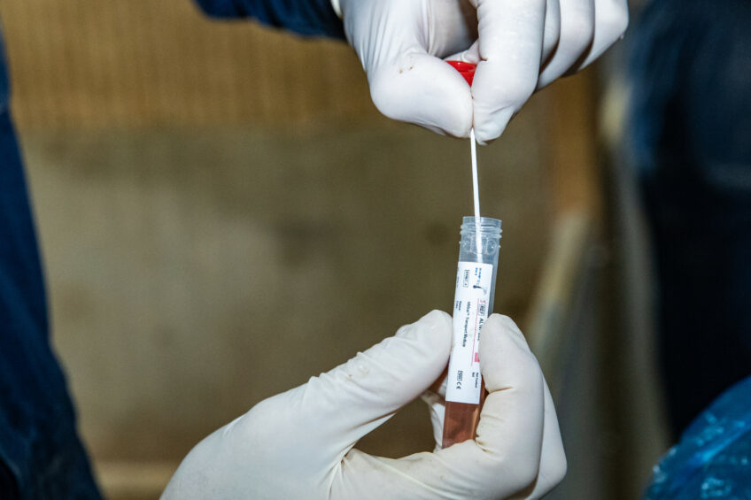 França registra aumento de casos de Gripe Suína com nova cepa