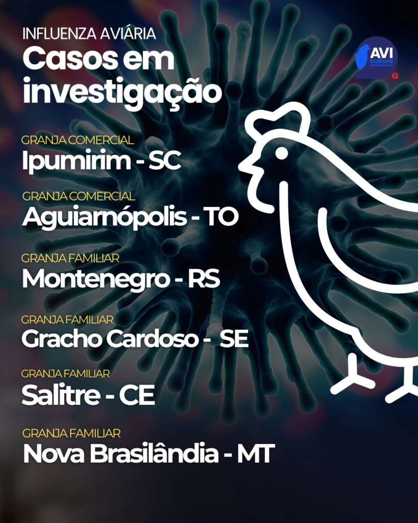 Santa Catarina investiga suspeita de Influenza Aviária em granja comercial e proíbe entrada de aves e ovos do Rio Grande do Sul