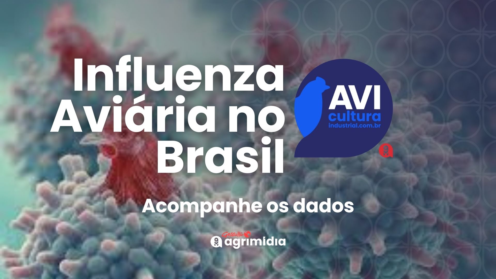 Influenza Aviária no Brasil: acompanhe os dados Influenza Aviária no Brasil: acompanhe os dados