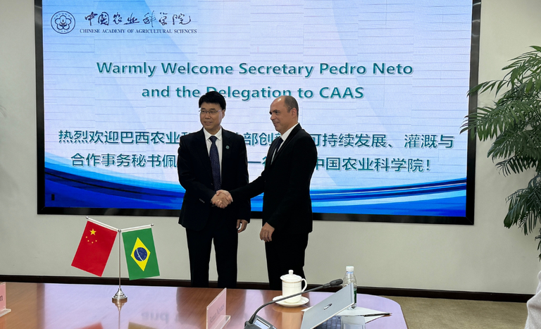 Brasil e China aprofundam diálogo sobre agronegócio sustentável Brasil e China aprofundam diálogo sobre agronegócio sustentável