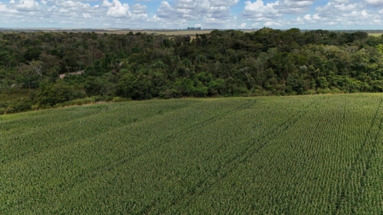 Lei do Licenciamento preocupa ambientalistas, que levam denúncia à Europa