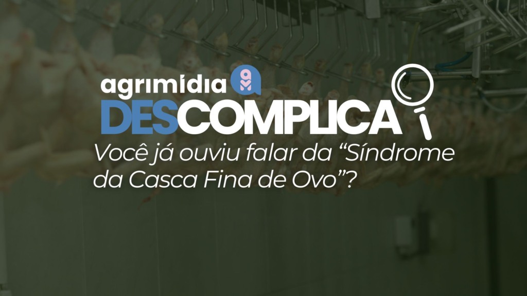 Agrimidia Descomplica: Você já ouviu falar da “Síndrome da Casca Fina de Ovo”? Agrimidia Descomplica: Você já ouviu falar da “Síndrome da Casca Fina de Ovo”?