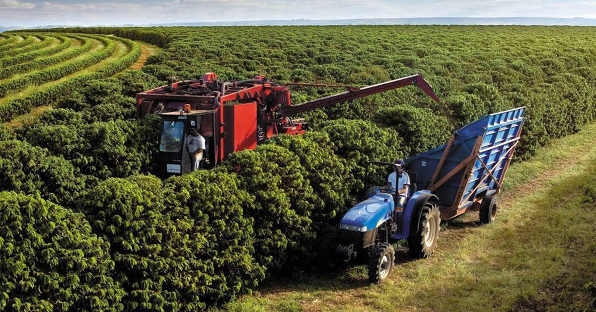 Brasil atinge menor taxa de desemprego da história e renda do trabalhador do campo aumenta