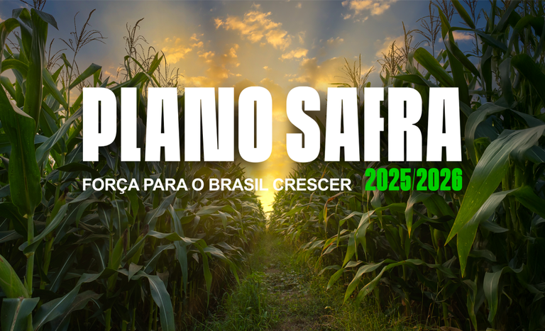 Governo lança Plano Safra 2025/2026 com R$ 516,2 bi para o agro brasileiro