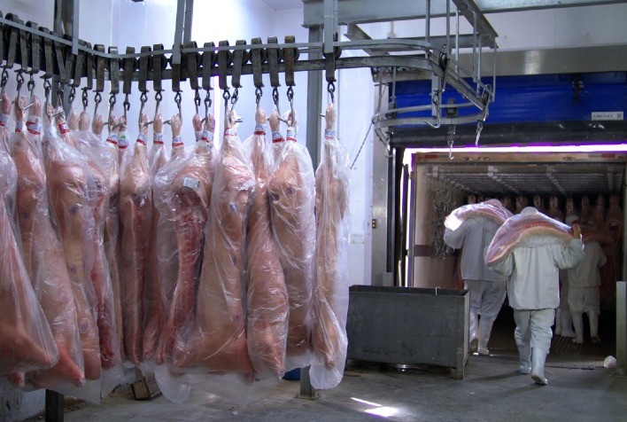 Carne suína: exportações recorde, cotações estáveis e custo de produção em queda Carne suína: exportações recorde, cotações estáveis e custo de produção em queda