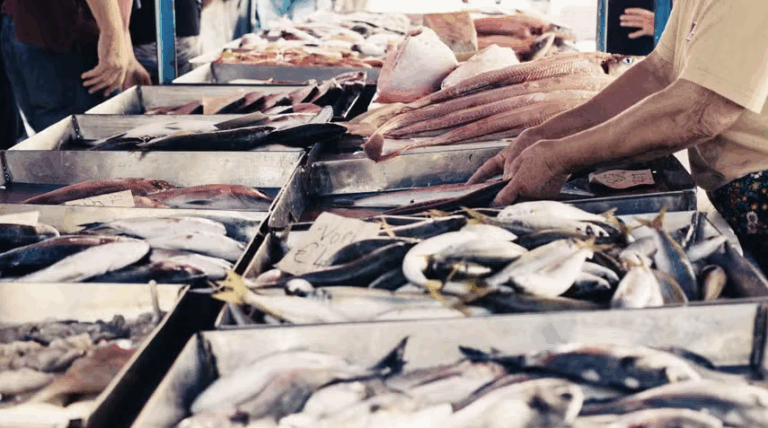 Indústria de pescado solicita crédito emergencial para amenizar impactos do 'tarifaço'