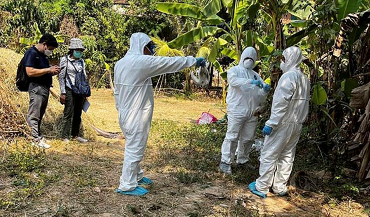 Camboja confirma casos de Influenza Aviária H5N1 em humanos