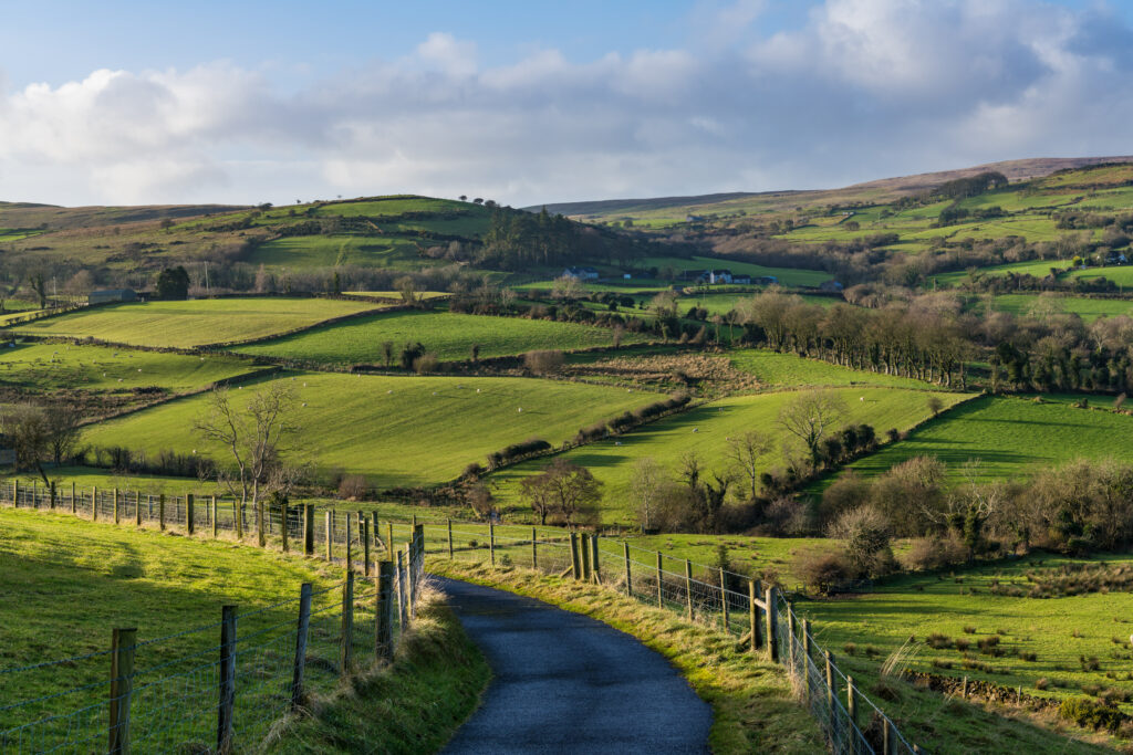 A serene country road winds through the rolling hills and green fields of the Glens of Antrim, dotted with farms and sheep grazing peacefully