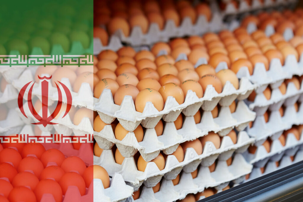 Conflito com Israel interrompe logística e vendas de ovos no Irã, mas produção permanece intacta Conflito com Israel interrompe logística e vendas de ovos no Irã, mas produção permanece intacta