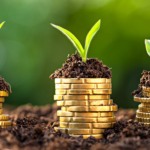 RS cobra ajustes no crédito rural e pede ampliação da MP 1.314/2025 RS cobra ajustes no crédito rural e pede ampliação da MP 1.314/2025