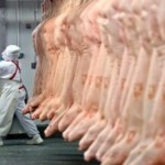 Malásia impõe bloqueio imediato à carne suína espanhola em resposta ao surto de Peste Suína Africana