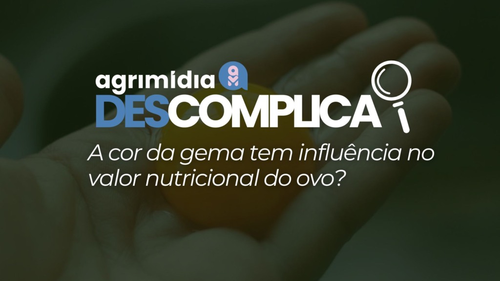 Agrimidia Descomplica: A cor da gema tem influência no valor nutricional do ovo? Agrimidia Descomplica: A cor da gema tem influência no valor nutricional do ovo?