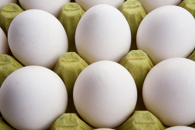 Setor de ovos acelera agenda sustentável para responder às novas demandas dos consumidores Setor de ovos acelera agenda sustentável para responder às novas demandas dos consumidores