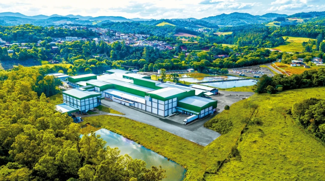 Master Agroindustrial exporta 3,7 mil toneladas de carne suína em julho e bate recorde histórico Master Agroindustrial exporta 3,7 mil toneladas de carne suína em julho e bate recorde histórico