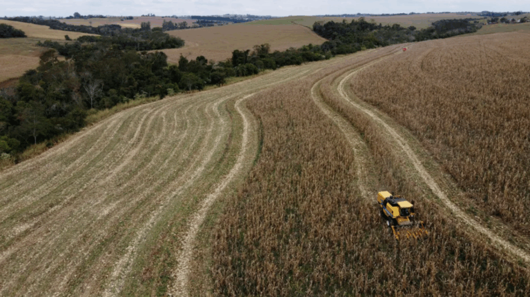 CNA responde a acusações dos EUA contra o Brasil por práticas desleais no comércio CNA responde a acusações dos EUA contra o Brasil por práticas desleais no comércio