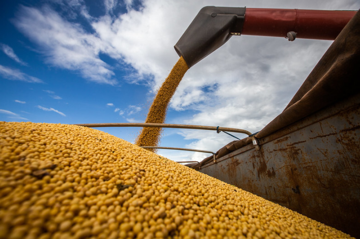 CADE determina suspensão imediata da Moratória da Soja