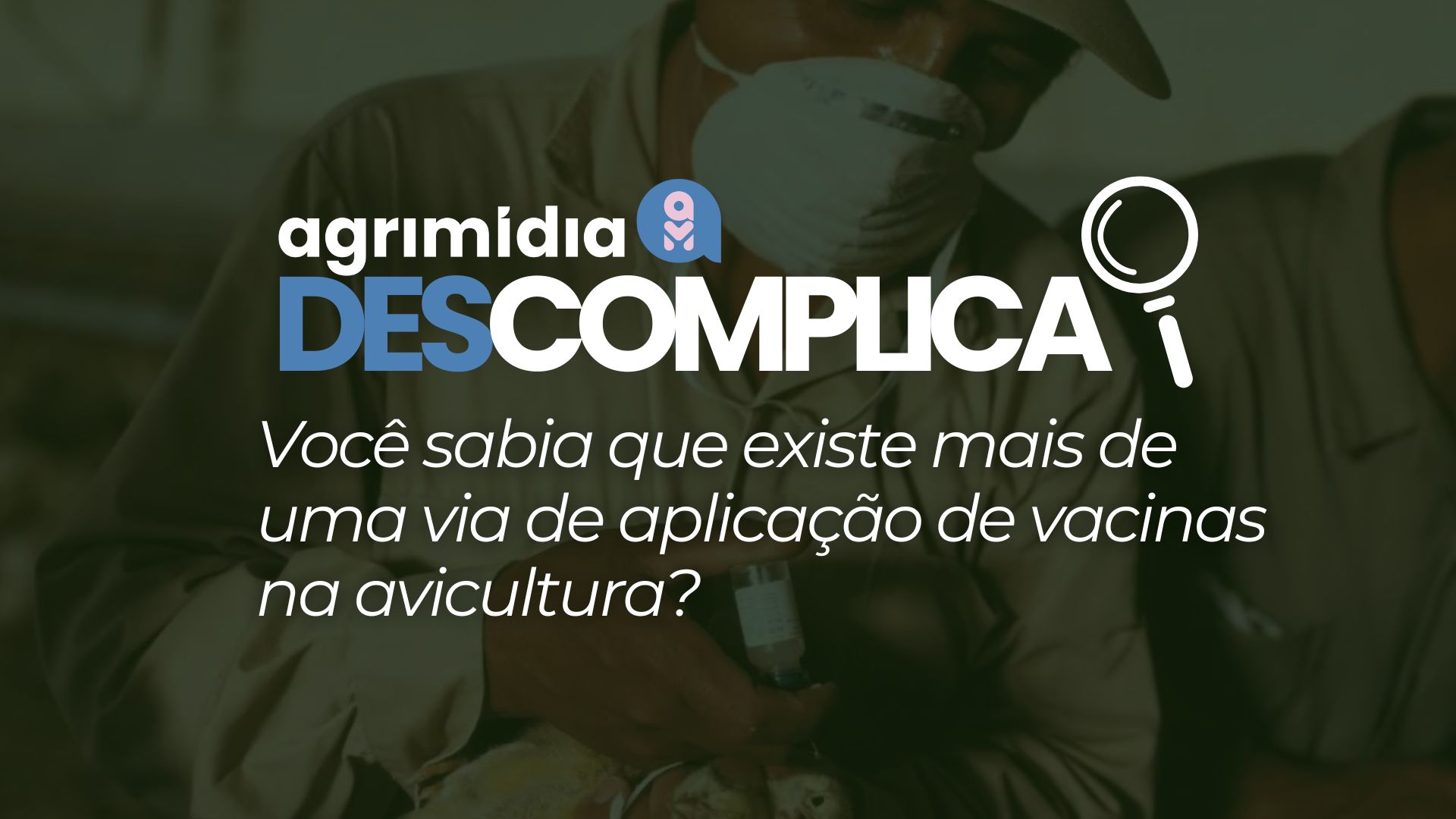 Agrimidia Descomplica: Você sabia que existe mais de uma via de aplicação de vacinas na avicultura?