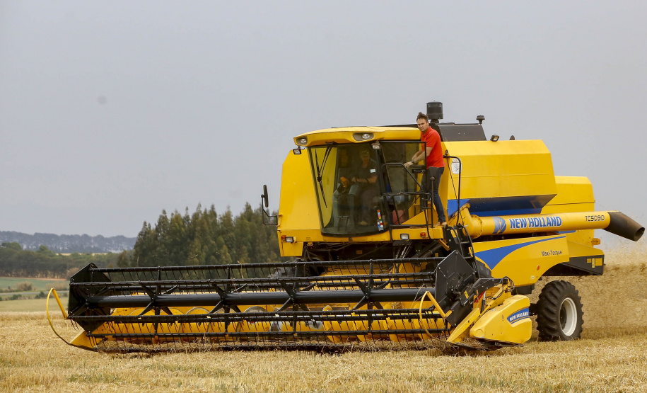 Salários da agropecuária do Paraná crescem e superam em 58% a média nacional