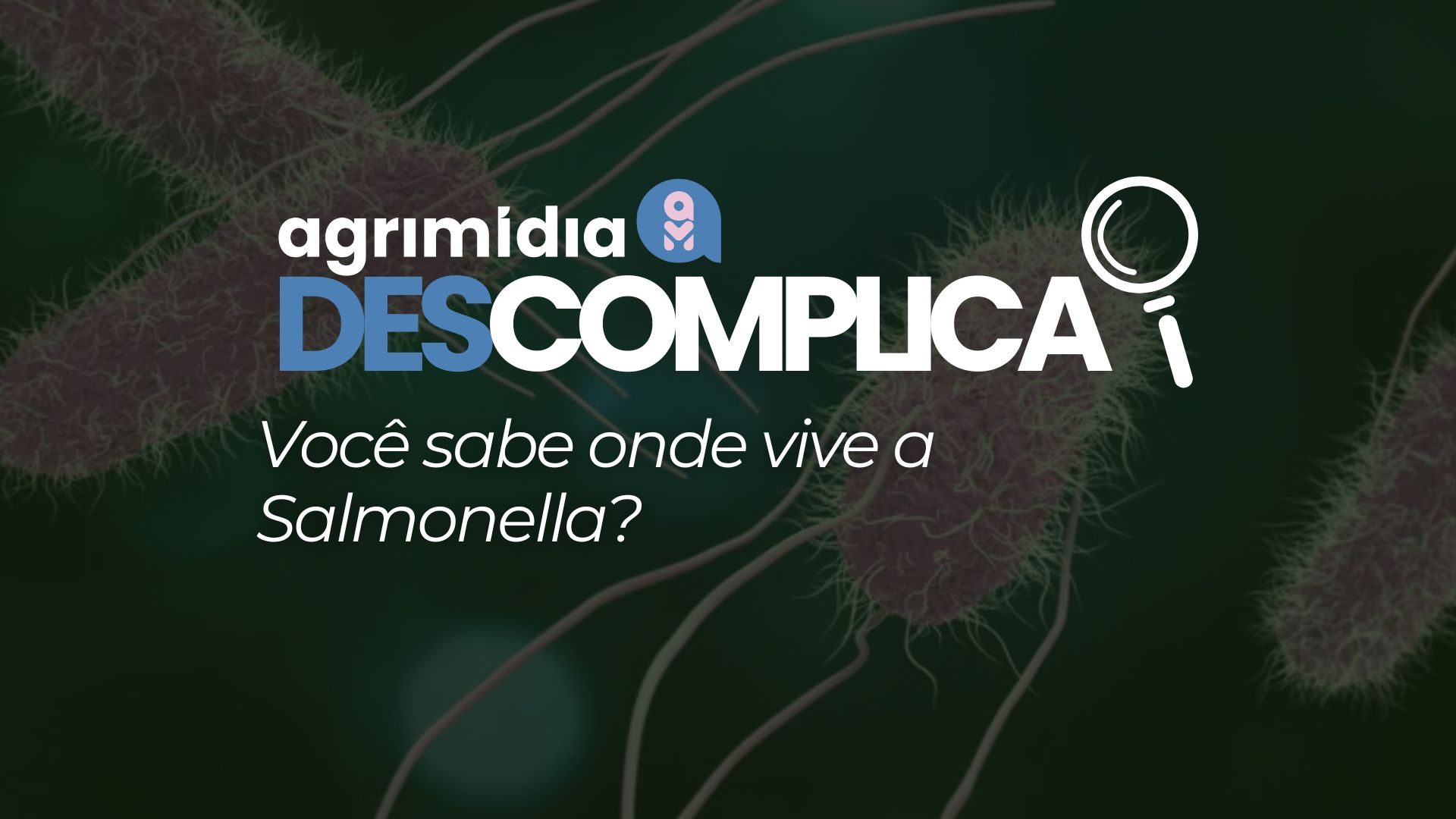 Agrimidia Descomplica: Você sabe onde vive a Salmonella?