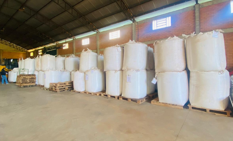 Apreensão de sementes irregulares no RS causa prejuízo de R$ 35 milhões para infratores Apreensão de sementes irregulares no RS causa prejuízo de R$ 35 milhões para infratores