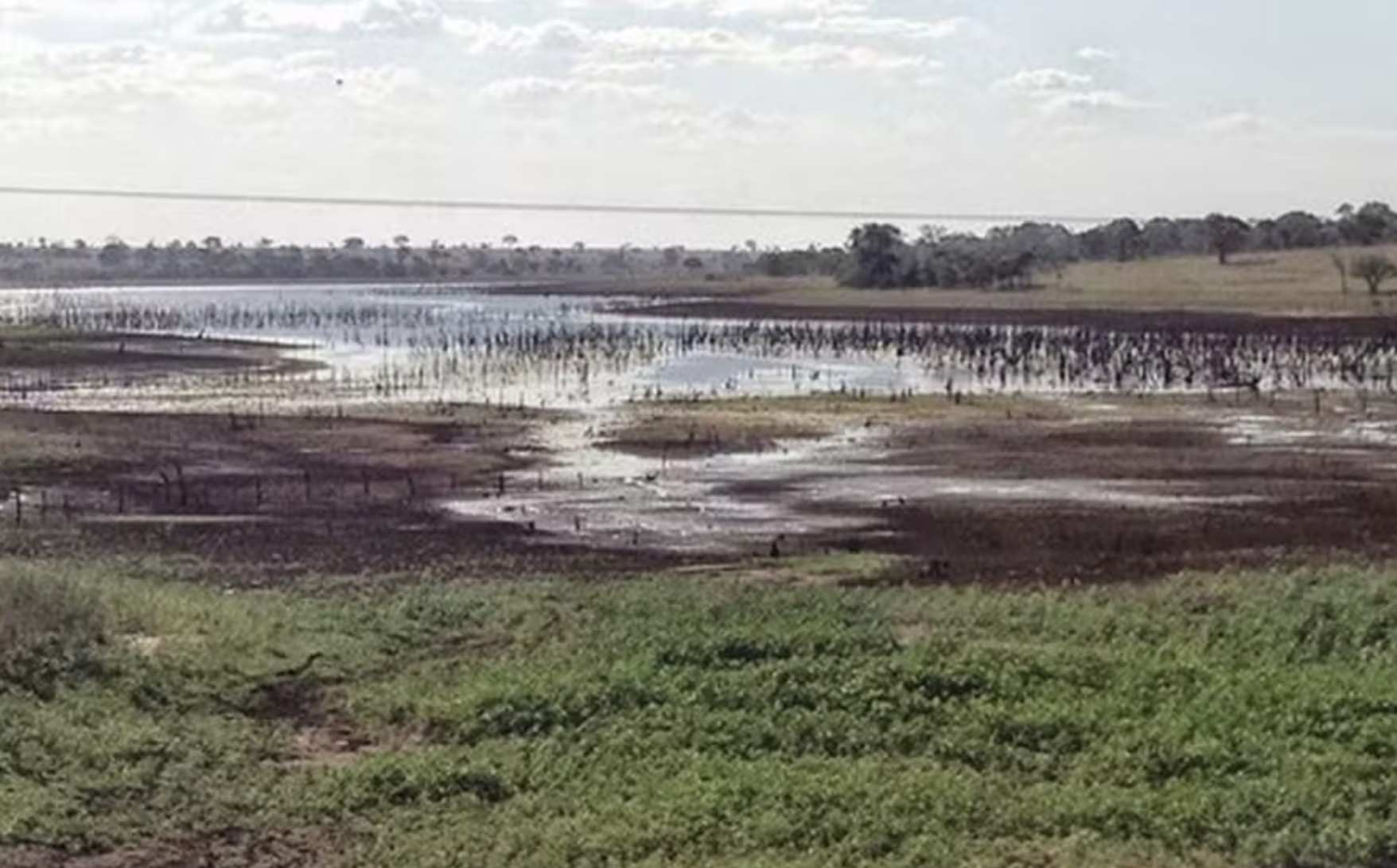 Governo discute detalhes finais de pacote de socorro a produtores do Rio Grande do Sul Governo discute detalhes finais de pacote de socorro a produtores do Rio Grande do Sul