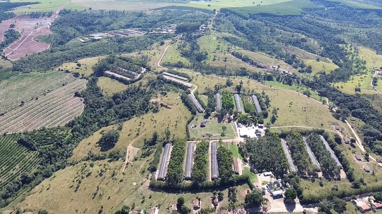 Granja São Marcos produz 5 milhões de ovos por mês e projeta dobrar volume até 2030