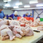 Preços da carne de frango enfraquecidos com aumento da oferta interna