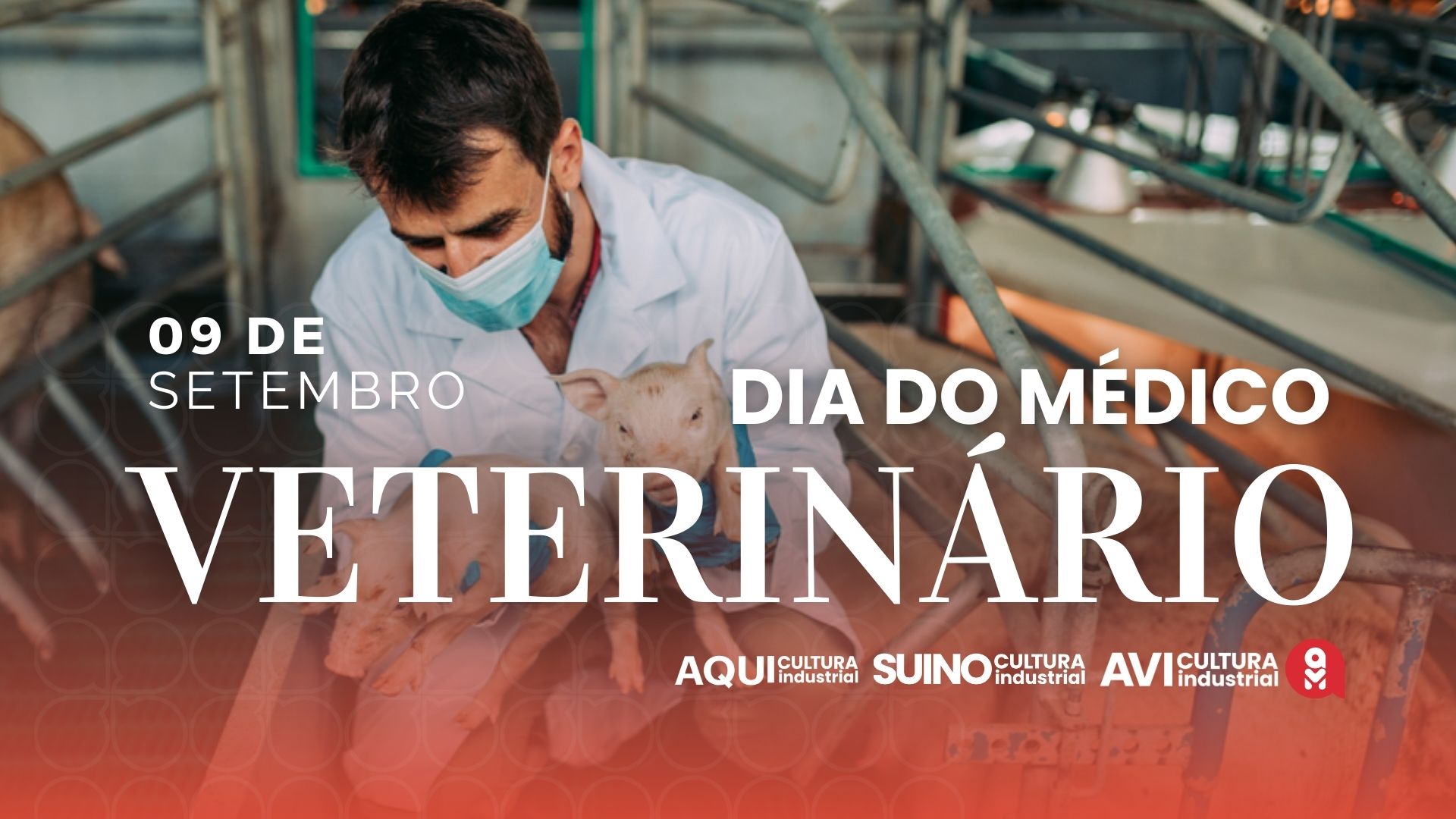 Dia do Médico-Veterinário destaca papel estratégico da profissão no setor agro