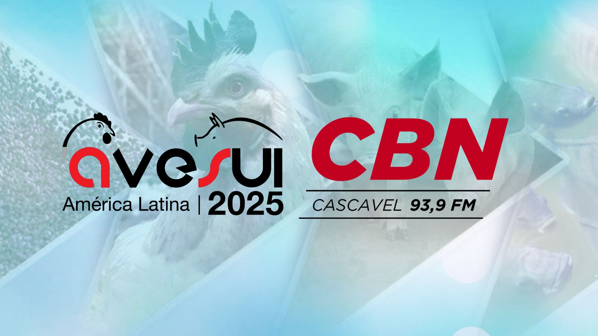 AveSui 2025 será destaque em entrevista na Rádio CBN Cascavel nesta quinta-feira (11)