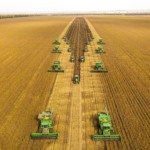 Colheita no Brasil pressiona Chicago: Soja recua com expectativa de safra de 175 milhões de toneladas