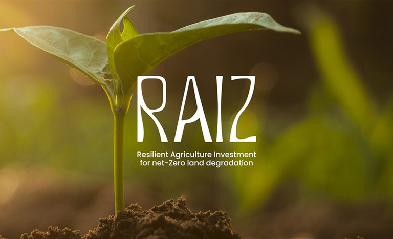 Brasil lança iniciativa global para recuperação de áreas degradadas durante a COP 30 Brasil lança iniciativa global para recuperação de áreas degradadas durante a COP 30