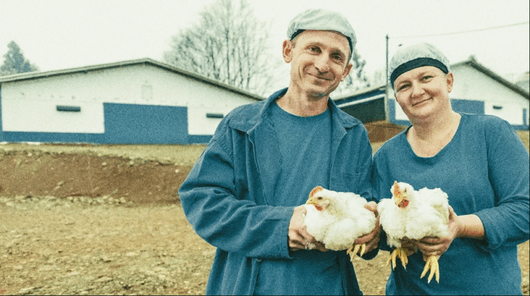 ABPA lança movimento pelo uso consciente de antimicrobianos na produção