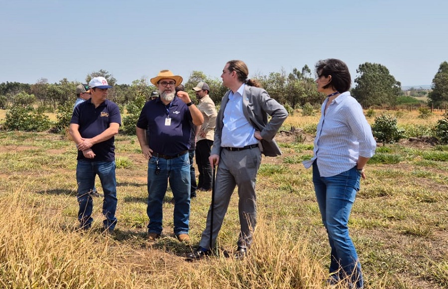 Tecnologias agrícolas brasileiras podem inspirar o desenvolvimento sustentável global, afirma Diretor da FAO Tecnologias agrícolas brasileiras podem inspirar o desenvolvimento sustentável global, afirma Diretor da FAO