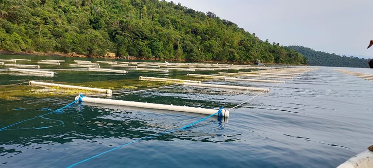 Ministério da Pesca e Aquicultura altera regras para cessão de uso de Águas da União Ministério da Pesca e Aquicultura altera regras para cessão de uso de Águas da União