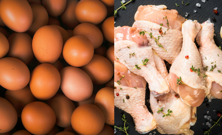 União Europeia oficializa retomada do pre-listing para avicultura brasileira