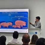 Reunião do GT Suínos alinha estratégias contra PRRS e novas regras de certificação