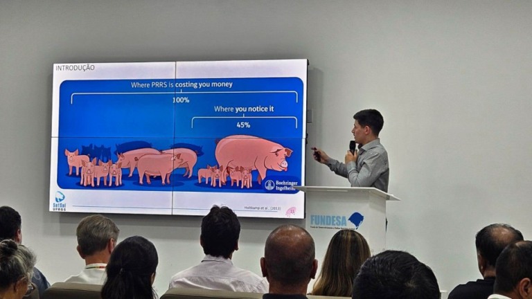 Reunião do GT Suínos alinha estratégias contra PRRS e novas regras de certificação