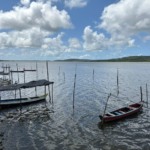 Ministério da Pesca cancela licença de mais de 10 mil pescadores profissionais Ministério da Pesca cancela licença de mais de 10 mil pescadores profissionais